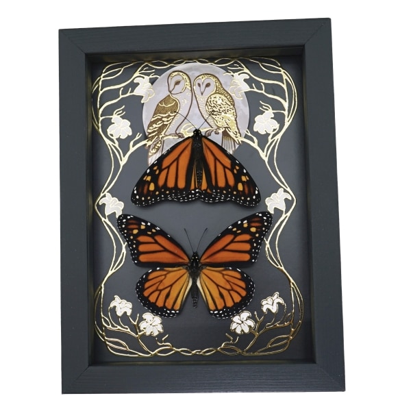 Monarch Butterfly Collection Gold Foil Owls Moon Art Nouveau Danaus Plexippus Pair Framed Taxidermy