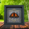 Danaus plexippus Male Resting Monarch Butterfly Gothic Black Heart Framed Taxidermy Display