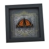 Danaus plexippus Male Resting Monarch Butterfly Gothic Black Heart Framed Taxidermy Display