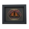 Monarch Butterfly Gothic Red Gold Border Danaus plexippus Male Resting Framed Taxidermy Display