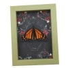 Real Monarch Butterfly Gothic Black Roses Danaus plexippus Male Resting Framed Taxidermy Sage Green Display