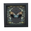 Pyrops pyrorhyncha Blue Lanternfly Framed Insect Gothic Ravens Taxidermy Display