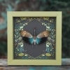 Pyrops pyrorhyncha Blue Lanternfly Framed Insect Gothic Ravens Taxidermy Sage Green Display