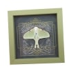 Real Framed Luna Moth Gothic Black Heart Actias luna Resting Taxidermy Sage Green Display