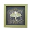 Real Framed Luna Moth Gothic Black Heart Actias luna Resting Taxidermy Sage Green Display