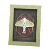 Real Framed Luna Moth Gothic Red Gold Border Actias luna Resting Taxidermy Sage Green Display