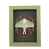 Real Framed Luna Moth Gothic Red Gold Border Actias luna Resting Taxidermy Sage Green Display