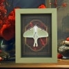 Real Framed Luna Moth Gothic Red Gold Border Actias luna Resting Taxidermy Sage Green Display