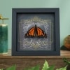 Danaus plexippus Male Resting Monarch Butterfly Gothic Black Heart Framed Taxidermy Display