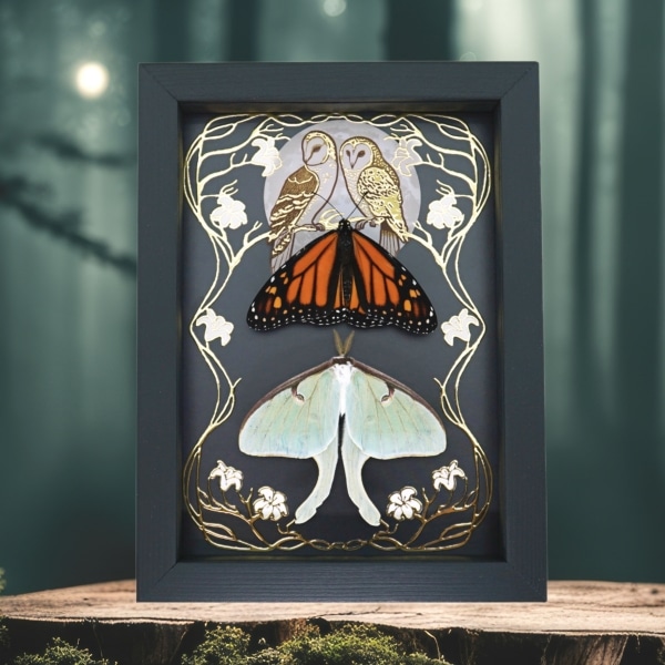 Luna Moth Monarch Butterfly Collection Gold Foil Owls Moon Art Nouveau Framed Taxidermy
