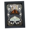 Luna Moth Monarch Butterfly Collection Gold Foil Owls Moon Art Nouveau Framed Taxidermy