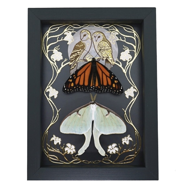 Luna Moth Monarch Butterfly Collection Gold Foil Owls Moon Art Nouveau Framed Taxidermy