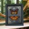 Monarch Butterfly Collection Gold Foil Victorian Danaus Plexippus Pair Resting Framed Taxidermy