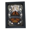 Monarch Butterfly Collection Gold Foil Owls Moon Art Nouveau Danaus Plexippus Pair Framed Taxidermy