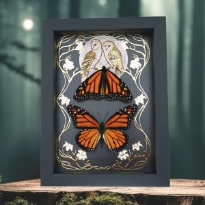 Monarch Butterfly Collection Gold Foil Owls Moon Art Nouveau Danaus Plexippus Pair Framed Taxidermy