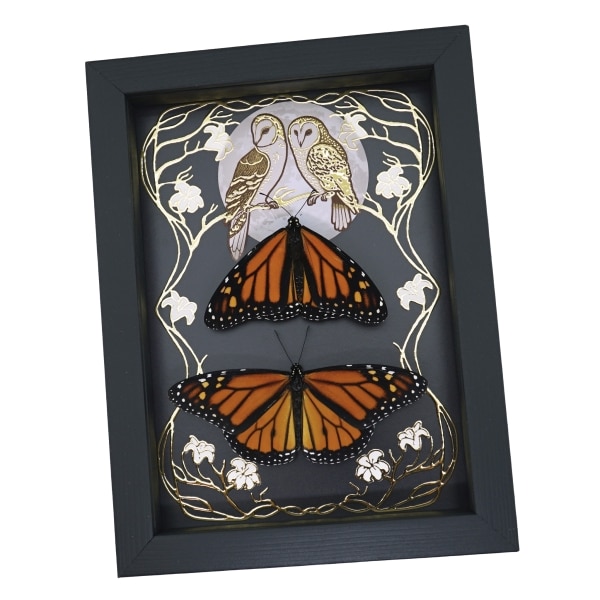 Monarch Butterfly Collection Gold Foil Owls Moon Art Nouveau Danaus Plexippus Pair Framed Taxidermy