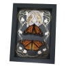 Monarch Butterfly Collection Gold Foil Owls Moon Art Nouveau Danaus Plexippus Pair Framed Taxidermy