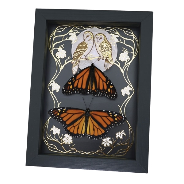 Monarch Butterfly Collection Gold Foil Owls Moon Art Nouveau Danaus Plexippus Pair Framed Taxidermy