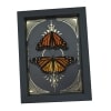 Monarch Butterfly Collection Gold Foil Celestial Danaus Plexippus Pair Framed Taxidermy Display