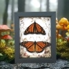 Real Framed Monarch Butterfly Pair Forest Mushrooms Butterflies Taxidermy Display