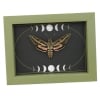 White Lined Sphinx Moth Hyles lineata Moon Phases Framed Taxidermy Sage Green Display