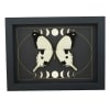 Papilio dardanus Mocker Swallowtail Butterfly Moon Phases Real Framed Taxidermy Display