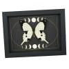 Papilio dardanus Mocker Swallowtail Butterfly Moon Phases Real Framed Taxidermy Display