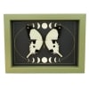 Papilio dardanus Mocker Swallowtail Butterfly Moon Phases Real Framed Taxidermy Sage Green Display