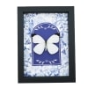 Ascia bruniae Butterfly Great Southern White Blue White French Framed Taxidermy Display