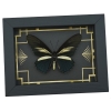 Battus crassus Butterfly Art Deco Real Framed Taxidermy Display