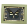 Battus crassus Butterfly Art Deco Real Framed Taxidermy Sage Green Display