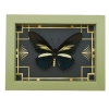 Battus crassus Butterfly Art Deco Real Framed Taxidermy Sage Green Display
