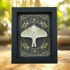 Real Luna Moth Celestial Stars Actias luna Resting Framed Taxidermy