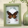 Framed Monarch Butterfly Forest Mushrooms Ferns Danaus plexippus Female Taxidermy Sage Green Display