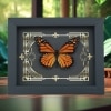 Real Framed Monarch Butterfly Gothic Scrolls Danaus plexippus Taxidermy Display
