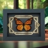 Real Framed Monarch Butterfly Art Deco Double Border Danaus plexippus Taxidermy Display