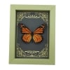Real Framed Monarch Butterfly Art Deco Golden Scrolls Danaus plexippus Taxidermy Sage Green Display
