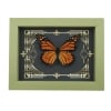 Real Framed Monarch Butterfly Gothic Scrolls Danaus plexippus Taxidermy Sage Green Display