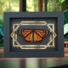 Real Framed Monarch Butterfly Art Deco Double Border Danaus plexippus Resting Taxidermy Display