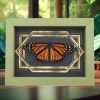 Real Framed Monarch Butterfly Art Deco Double Border Danaus plexippus Resting Taxidermy Sage Green Display