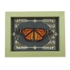 Real Framed Monarch Butterfly Gothic Scrolls Danaus plexippus Resting Taxidermy Sage Green Display