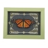 Real Framed Monarch Butterfly Gothic Scrolls Danaus plexippus Resting Taxidermy Sage Green Display