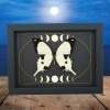 Papilio dardanus Mocker Swallowtail Butterfly Moon Phases Real Framed Taxidermy Display