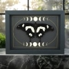 Papilio hesperus Resting African Swallowtail Butterfly Moon Phases Framed Taxidermy Display