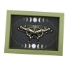 Papilio lormieri Verso Resting Butterfly Moon Phases Framed Taxidermy Sage Green Display