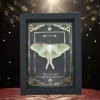 Real Framed Luna Moth Gold Foil Celestial Actias luna Resting Taxidermy Display