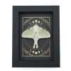 Real Luna Moth Celestial Moon Phases Actias luna Resting Framed Taxidermy