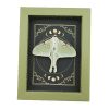 Real Luna Moth Celestial Moon Phases Actias luna Resting Framed Taxidermy Sage Green