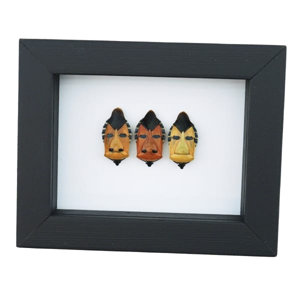 Real Man Face Beetle Collection Catacanthus incarnatus Framed Beetles Taxidermy Classic Black Display