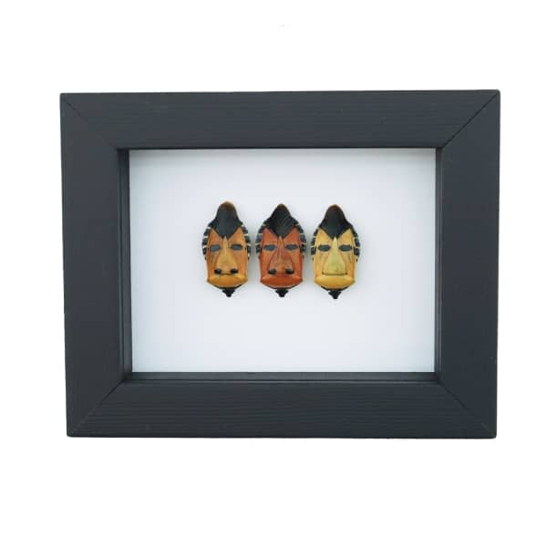 Real Man Face Beetle Collection Catacanthus incarnatus Framed Beetles Taxidermy Classic Black Display